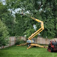 Best Weed Control  in West Easton, PA