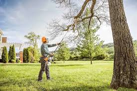 Best Utility Line Clearance  in West Easton, PA