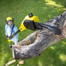 Best Lawn Irrigation Installation and Maintenance  in West Easton, PA
